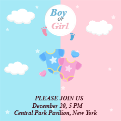 Custom Outdoor Yard Signs Multiple Sizes Pop Girl or Boy ?