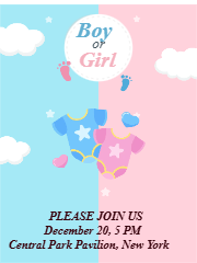 Custom Outdoor Yard Signs Multiple Sizes Pop Girl or Boy ?