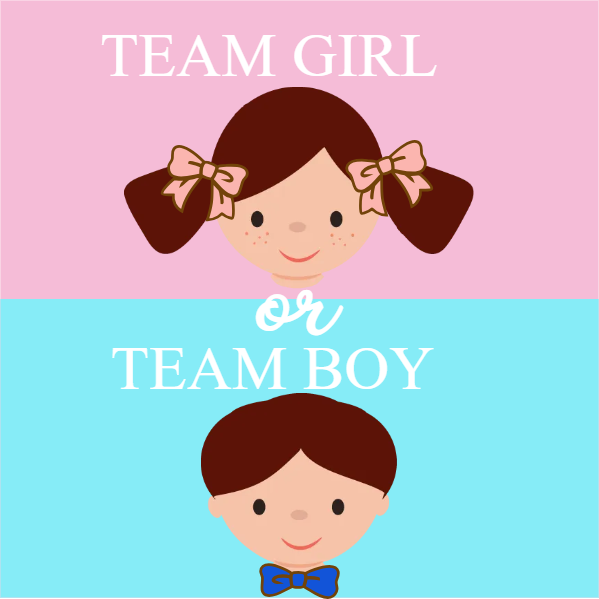 Custom Outdoor Yard Signs Multiple Sizes Gender Reveal Team Girl or Team Boy