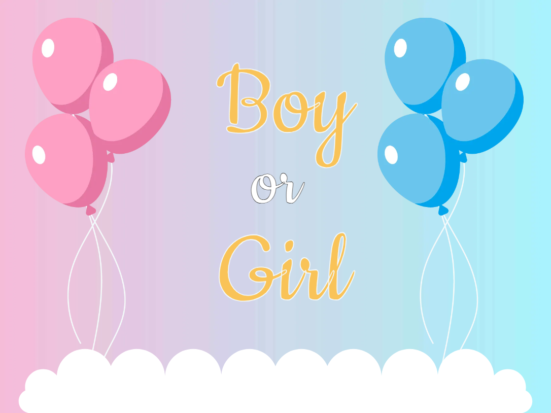 Custom Outdoor Yard Signs Multiple Sizes Boy or Girl 2