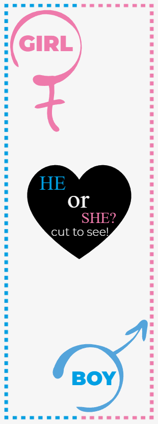 Custom Outdoor Foam Board Signs He or She