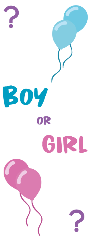 Custom Outdoor Foam Board Signs Boy or Girl