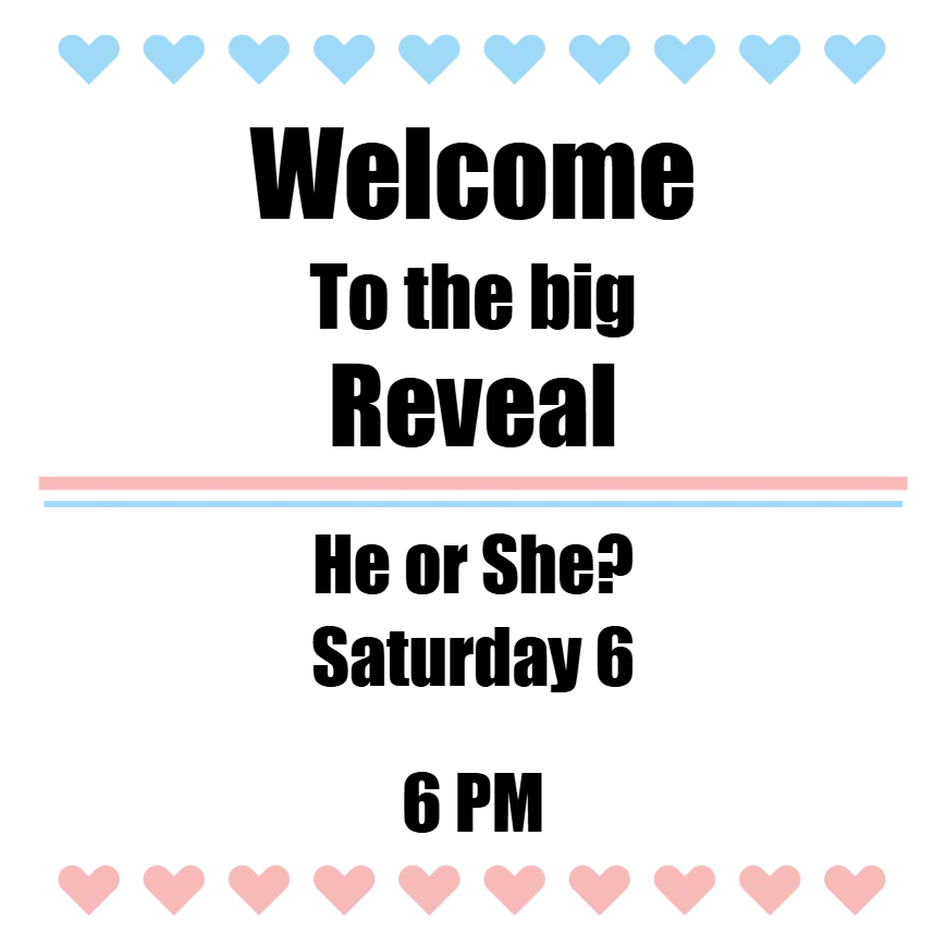 Custom Outdoor Yard Signs Multiple Sizes Welcome to the Big Reveal