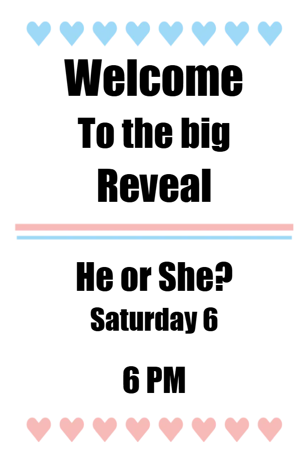 Custom Outdoor Yard Signs Multiple Sizes Welcome to the Big Reveal