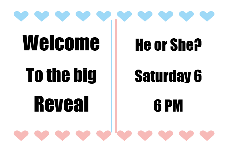 Custom Outdoor Yard Signs Multiple Sizes Welcome to the Big Reveal