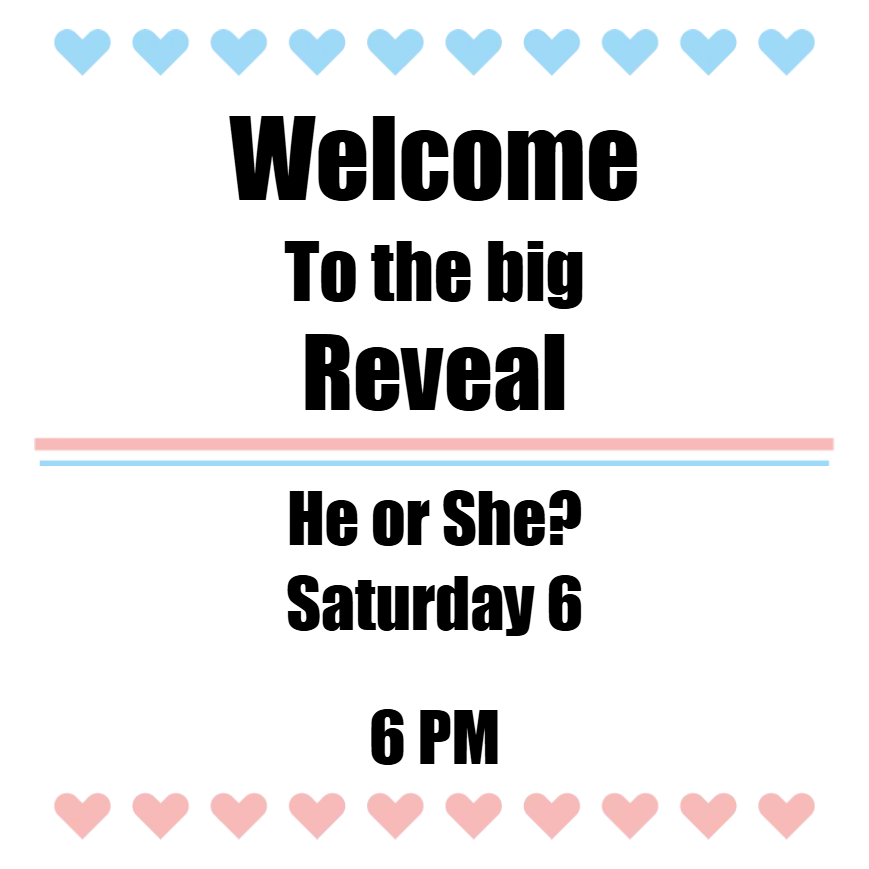 Custom Outdoor Yard Signs Multiple Sizes Welcome to the Big Reveal