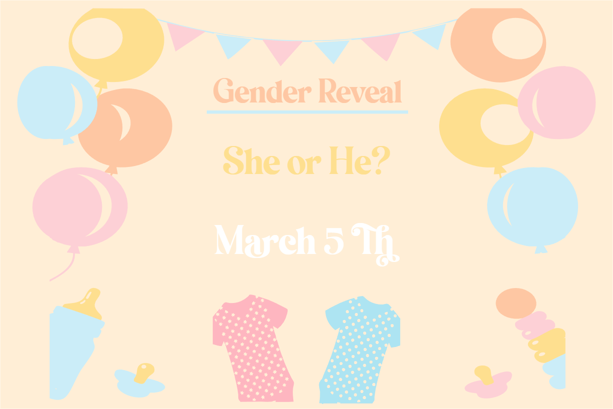Custom Outdoor Yard Signs Multiple Sizes Gender Reveal He or She? 2