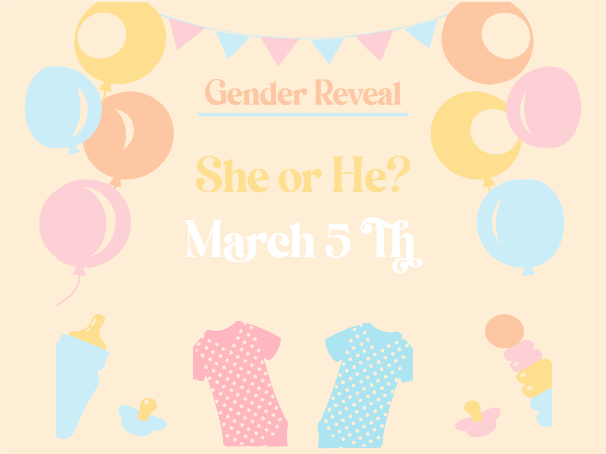 Custom Outdoor Yard Signs Multiple Sizes Gender Reveal He or She? 2