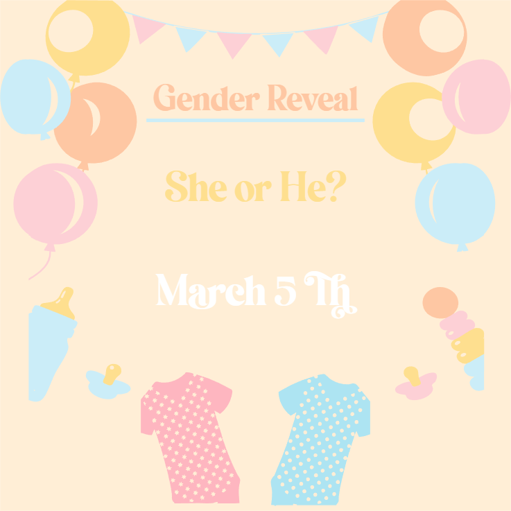 Custom Outdoor Yard Signs Multiple Sizes Gender Reveal He or She? 2