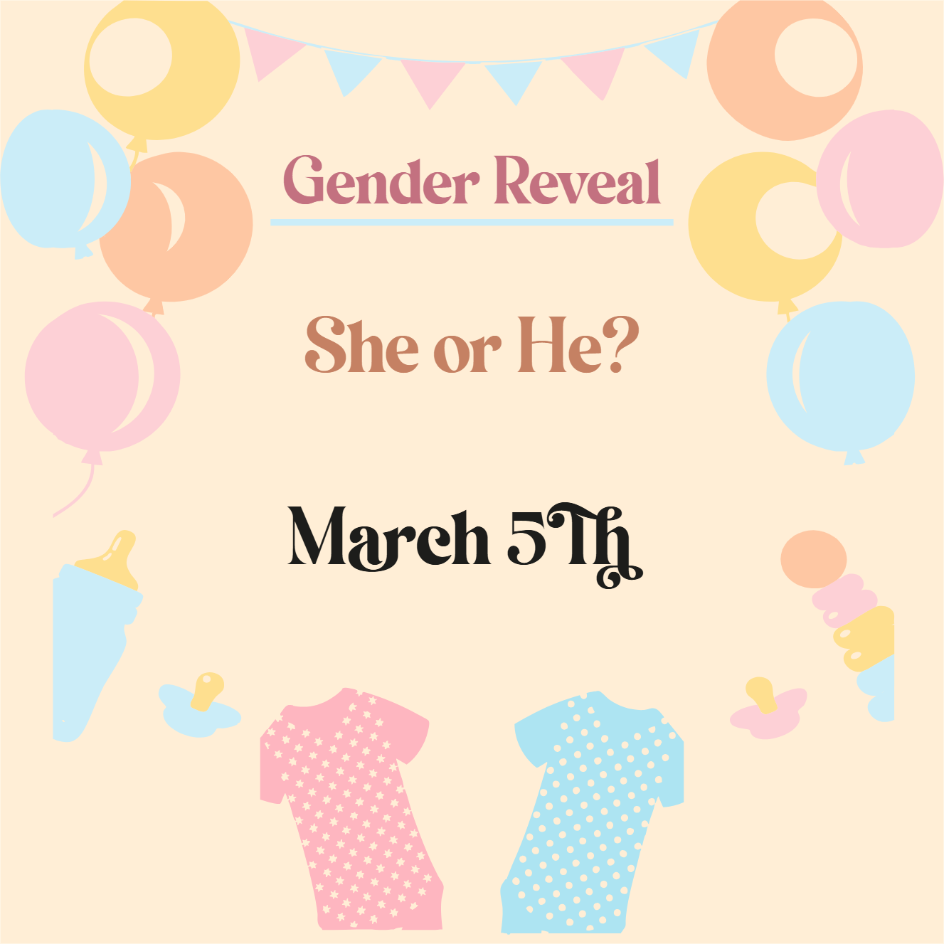 Custom Outdoor Yard Signs Multiple Sizes Gender Reveal He or She? 2