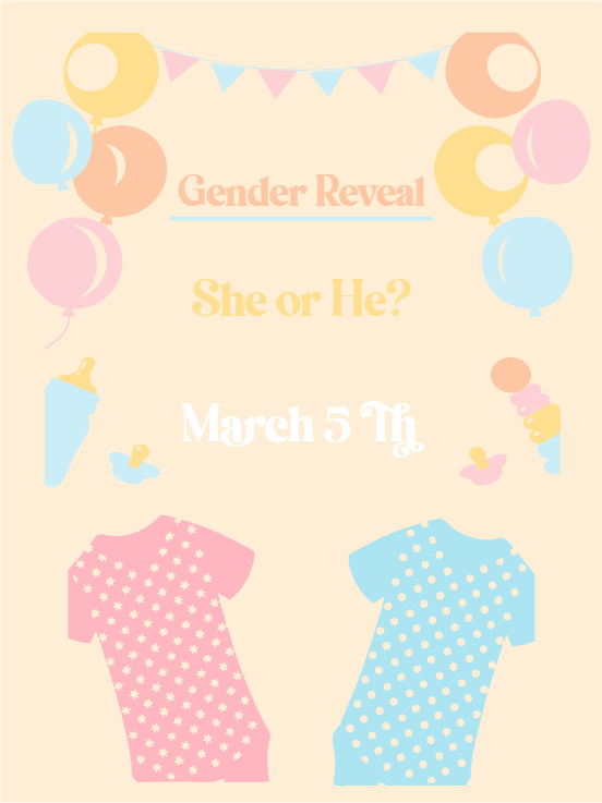 Custom Outdoor Yard Signs Multiple Sizes Gender Reveal He or She? 2