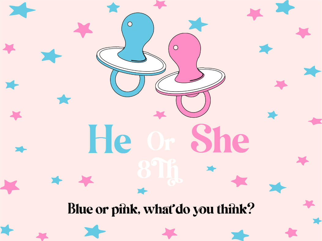 Custom Outdoor Yard Signs Multiple Sizes Gender Reveal Blue or Pink?
