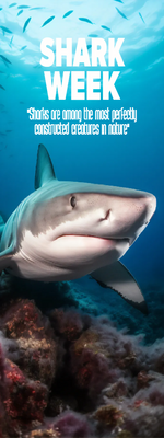 Custom Outdoor Yard Signs Multiple Sizes Shark Week