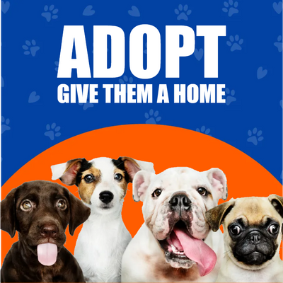 Custom Outdoor Yard Signs Multiple Sizes Give Them  Home