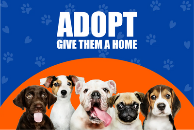 Custom Outdoor Yard Signs Multiple Sizes Give Them  Home