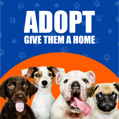 Custom Outdoor Yard Signs Multiple Sizes Give Them  Home