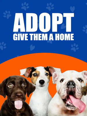 Custom Outdoor Yard Signs Multiple Sizes Give Them  Home