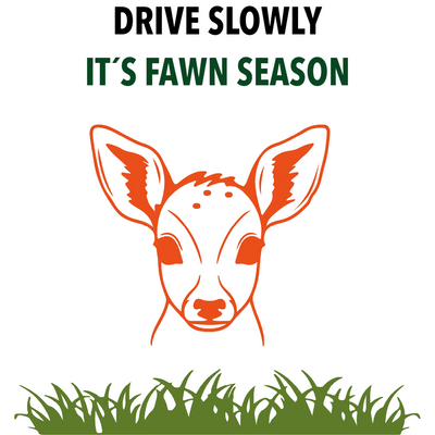 Custom Outdoor Yard Signs Multiple Sizes Fawn Season
