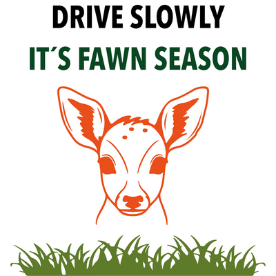 Custom Outdoor Yard Signs Multiple Sizes Fawn Season