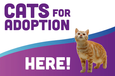 Custom Outdoor Yard Signs Multiple Sizes Cats For Adoption