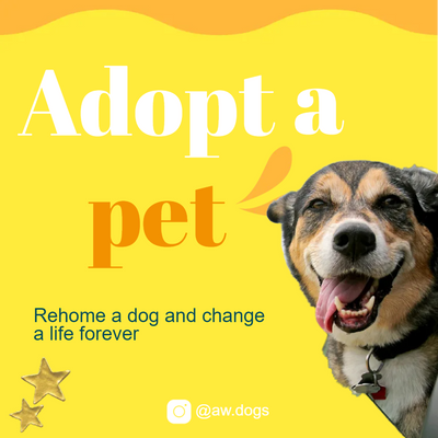 Custom Outdoor Yard Signs Multiple Sizes Adopt A Pet