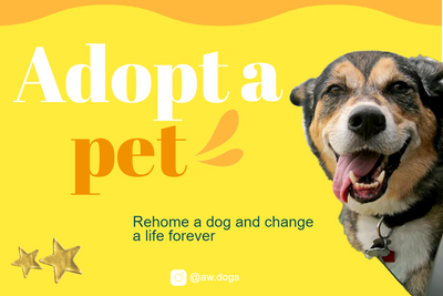 Custom Outdoor Yard Signs Multiple Sizes Adopt A Pet