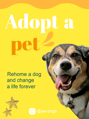 Custom Outdoor Yard Signs Multiple Sizes Adopt A Pet