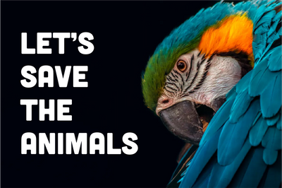 Custom Outdoor Yard Signs Multiple Sizes Save The Animals
