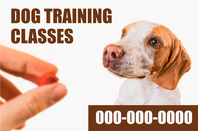 Custom Outdoor Yard Signs Multiple Sizes Dog Training Classes