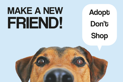 Custom Outdoor Yard Signs Multiple Sizes Make New Friend