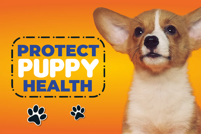 Custom Outdoor Yard Signs Multiple Sizes Protect Puppy Health