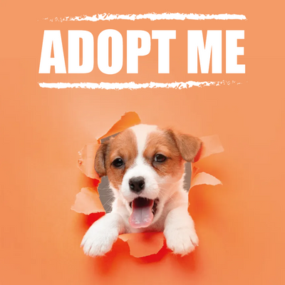 Custom Outdoor Yard Signs Multiple Sizes Adopt Me