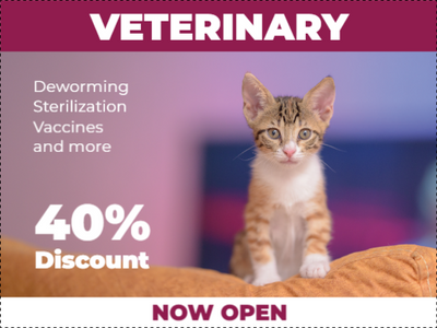 Custom Outdoor Yard Signs Multiple Sizes Veterinary