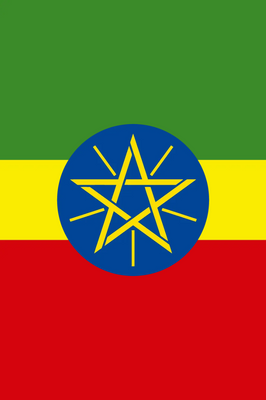 Custom Outdoor Yard Signs Multiple Sizes Ethiopia