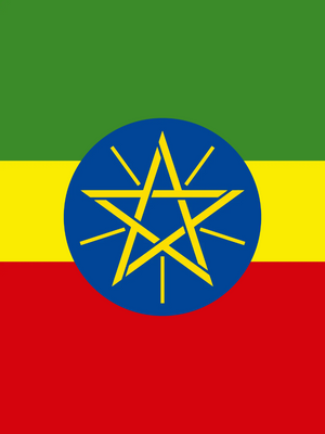 Custom Outdoor Yard Signs Multiple Sizes Ethiopia