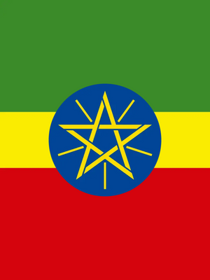 Custom Outdoor Yard Signs Multiple Sizes Ethiopia