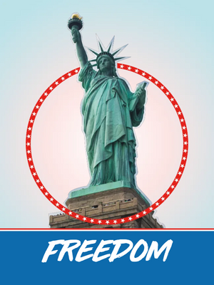 Custom Outdoor Yard Signs Multiple Sizes America Freedom