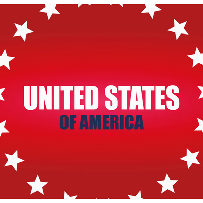 Custom Outdoor Yard Signs Multiple Sizes American Government