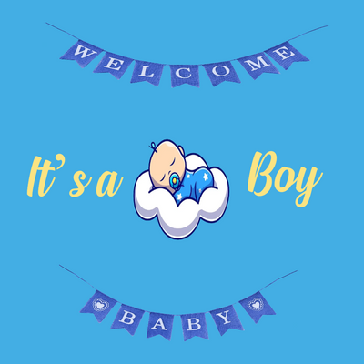 Custom Outdoor Yard Signs Multiple Sizes Baby Show