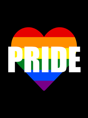 Custom Outdoor Yard Signs Multiple Sizes Rainbow Pride