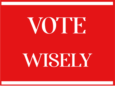 Custom Outdoor Yard Signs Multiple Sizes Vote Wisely