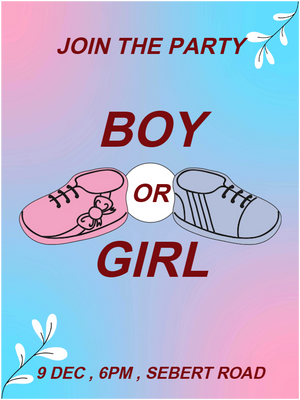 Custom Outdoor Yard Signs Multiple Sizes Join the Party Boy or Girl