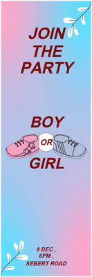 Custom Outdoor Yard Signs Multiple Sizes Join the Party Boy or Girl