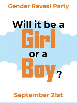 Custom Outdoor Yard Signs Multiple Sizes Will It Be a Girl or a Boy?