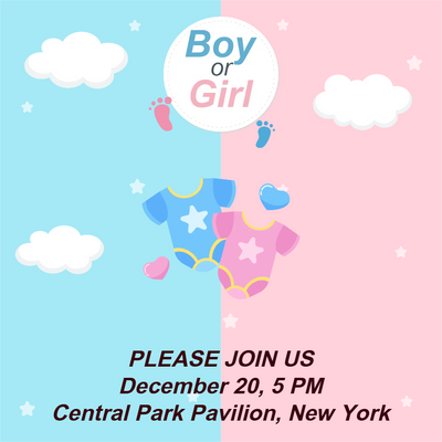 Custom Outdoor Yard Signs Multiple Sizes Pop Girl or Boy ?