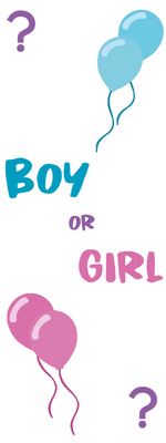 Custom Outdoor Foam Board Signs Boy or Girl
