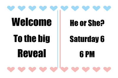 Custom Outdoor Yard Signs Multiple Sizes Welcome to the Big Reveal