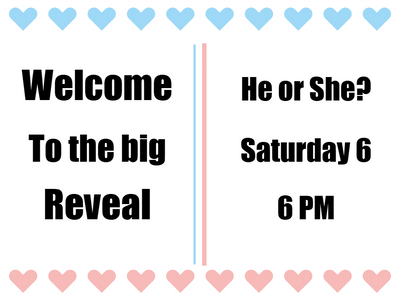 Custom Outdoor Yard Signs Multiple Sizes Welcome to the Big Reveal