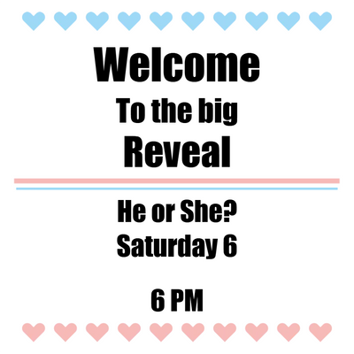 Custom Outdoor Yard Signs Multiple Sizes Welcome to the Big Reveal